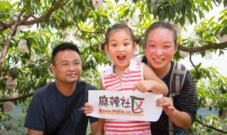 中国水蜜桃之乡 中国水蜜桃之乡