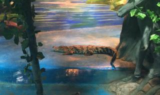 寿光蔬菜博览会门票