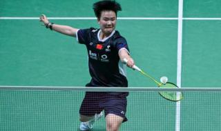 马来西亚公开赛羽毛球 马来西亚公开赛羽毛球